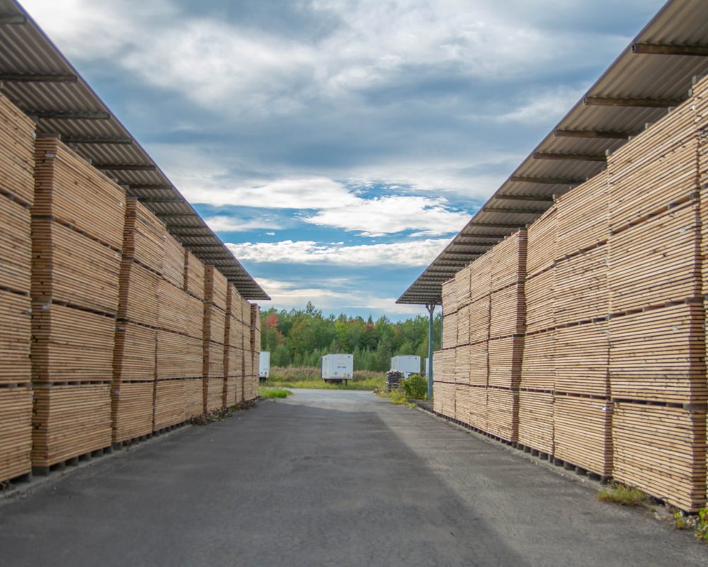 484455637_9398046333611797_5202165753499456567_n