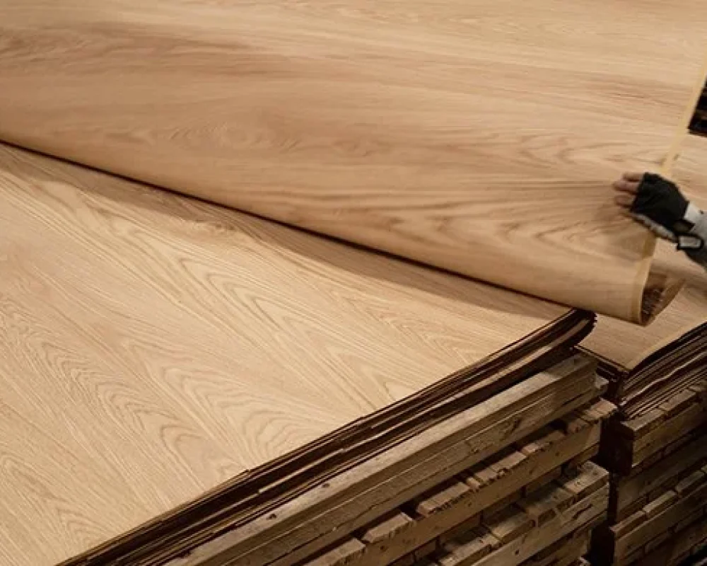 SHOTACTIONHUSKY+(1+sur+1)_Coloration_LR